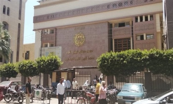 أم تتلقى حكمًا بالسجن 10 سنوات بتهمة قتل رضيعها غرقًا في البانيو بالمنوفية