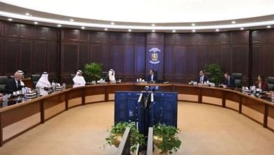 أهمية اتفاقية حماية وتشجيع الاستثمار بين مصر والسعودية تؤكدها الحكومة