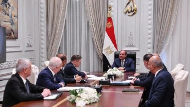 اجتماع مهم بين السيسي والمدير العام لهيئة الطاقة النووية الروسية