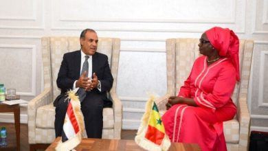 اعتزاز مصر بالعلاقات التاريخية مع السنغال يؤكده وزير الخارجية