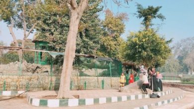 افتتاح حديقة الحيوان بعد تطويرها قريبًا.. «الزراعة» تبشر الزوار بالتحسينات الجديدة