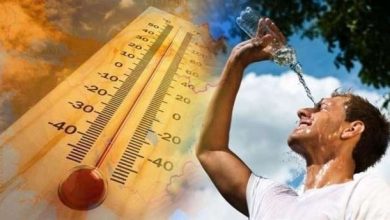 الأرصاد تحذر من شبورة كثيفة واضطراب في الملاحة اليوم الخميس 31 يوليو 2025