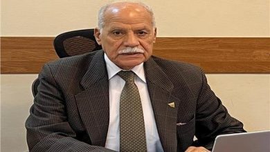 الحزب العربي الناصري يتمسك بالرفض للدعوات الهدامة ويؤكد صمود مصر بوعي شعبها وجيشها وشرطتها