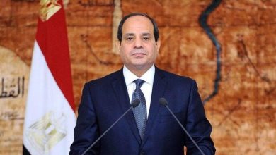الرئيس السيسى يناقش مع نظيره الإنجولي قضايا السلم والأمن في إفريقيا