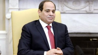 الرئيس السيسي يؤكد: مصر متمسكة بحل الدولتين للقضية الفلسطينية