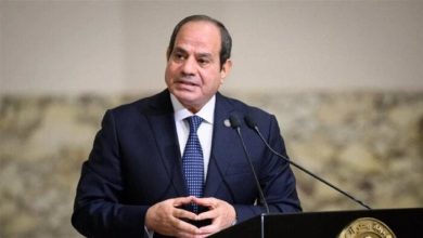 السيسي والصومالي يتناولان الأوضاع الأمنية والسياسية في القرن الإفريقي والبحر الأحمر