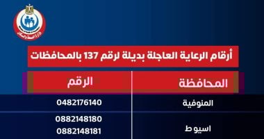 الصحة تنشر أرقاما اللرعاية الحرجة والعاجلة بديلا عن 137 بعد حريق السنترال