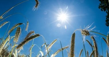 الصيف يمتد 92 يوماً و39 ساعة وفق الحسابات الفلكية وموعد الخريف قريب