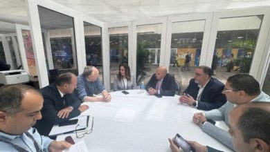 بحث وزيرة التنمية المحلية ورئيس شركة إزري العالمية عن سبل التعاون المشترك