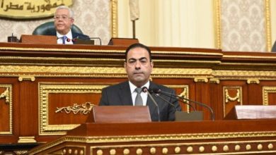 تشريع تاريخي يرسم مستقبل الرياضة بمصر وفقاً لشباب النواب