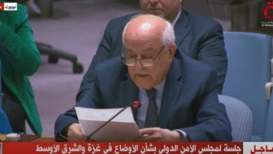 تعزيز جهود مصر لوقف إطلاق النار في غزة حسب مندوب فلسطين بالأمم المتحدة