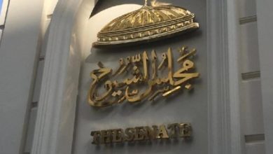 تعيين عضو مجلس الشيوخ في وظائف حكومية إشكالية قانونية تتوضح
