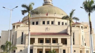 جامعة القاهرة تركز على التصنيف الذهبي بعد إدراجها ضمن أفضل مؤسسات الاستدامة