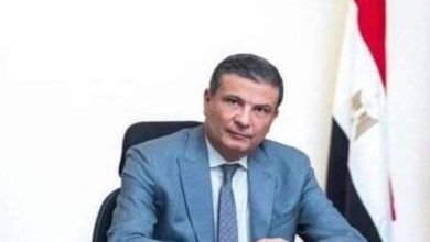 حجم تمويل البتلو يتجاوز 9.7 مليار جنيه وفقًا لوزير الزراعة