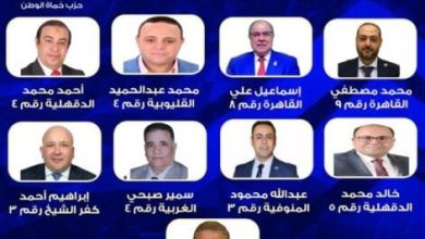 «حماة الوطن» تعلن قائمة مرشحيها لانتخابات الشيوخ 2025 بعد غلق باب الترشح
