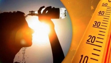 درجات حرارة مرتفعة بالقاهرة 40° وأسوان 46°.. الأرصاد تُعلن عن حالة الطقس اليوم الإثنين 28 يوليو 2025