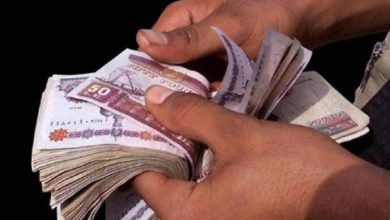 صرف مرتبات يوليو 2025 للعاملين بالدولة قريبًا