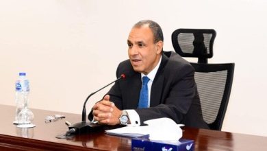 علاقات تاريخية تعززها مصر والنيجر
