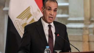 علاقات متميزة بين مصر وهولندا تُشيد بها الخارجية