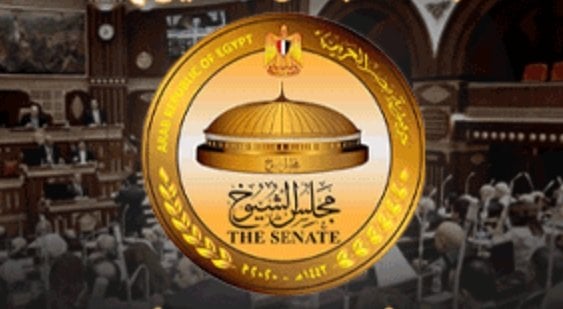 قواعد تصويت الخارج وضوابط الدعاية في انتخابات الشيوخ تحددها «الوطنية للانتخابات»