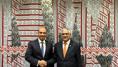 لقاء وزير الخارجية ونظيره الباكستاني لبحث تطورات غزة وتعزيز العلاقات الاقتصادية