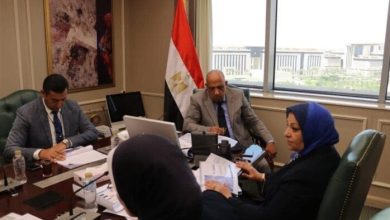 متابعة وزارية لأعمال تغذية مشروعات الدلتا الجديدة