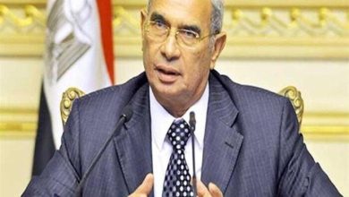 مجلس الشيوخ يبرز أهمية إثراء الحياة السياسية وفقاً لرفعت قمصان
