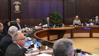 مجلس الوزراء يخصص 1.9 فدان لإنشاء مستشفى ميداني