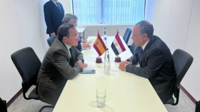 مصر تؤكد رفضها لتهجير الفلسطينيين من أراضيهم