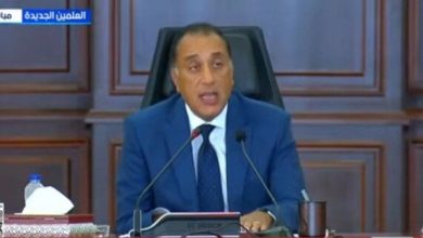 مصر تؤكد: موقفها الثابت من القضية الفلسطينية وحل الدولتين هو السبيل للسلام