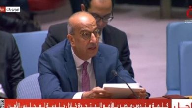 مصر تحذر: انتهاكات إسرائيل تهدد الأمن الجماعي للدول العربية