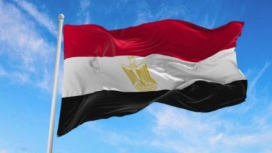 مصر تندد بالحملة المغرضة لتشويه دعمها للقضية الفلسطينية