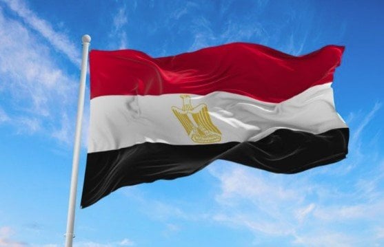 مصر تندد بالحملة المغرضة لتشويه دعمها للقضية الفلسطينية