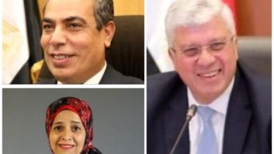 وزارة التعليم العالي تحقق طفرة رقمية بـ 10 ملايين مشاهدة و18 ألف متابع جديد في شهر