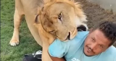 ليبي يطلق أسداً على عامل مصري والسلطات الأمنية تحقق.. فيديو