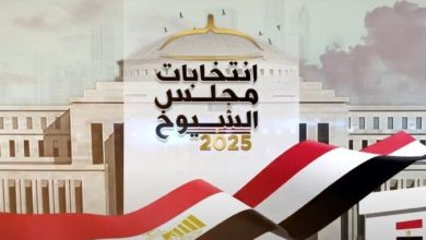 الإقبال الكبير على الانتخابات يعكس تمسك المصريين بحقوقهم الدستورية
