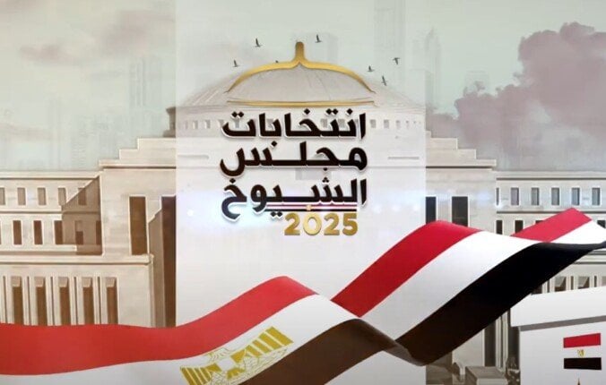 الإقبال الكبير على الانتخابات يعكس تمسك المصريين بحقوقهم الدستورية