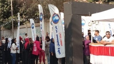 بدء أعمال الفرز في لجان انتخابات مجلس الشيوخ 2025 بشكل عاجل
