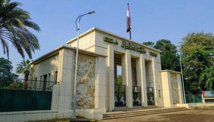 تحالف تطوير حديقة الحيوان يستعد لاستيراد 362 حيوانًا جديدًا