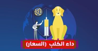 وزارة الصحة تحذر: 4 خطوات عاجلة عند التعرض لعضة أو خدش من حيوان مسعور