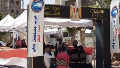 تغطية شاملة: التليفزيون المصري ينقل انتخابات مجلس الشيوخ عبر 90 نافذة لليوم الثاني
