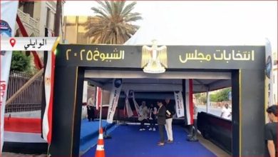 توافد المواطنين في انتخابات الشيوخ 2025 بالوايلي وسط أجواء أمنية مشددة «فيديو»