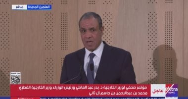 وزير الخارجية والهجرة: وقعنا عددا من الاتفاقيات مع الجانب القطرى فى عدة مجالات