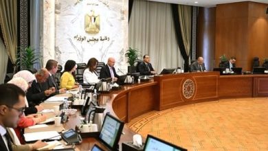 رئيس الوزراء يراقب مستجدات تعديل حدود الكربون لدعم صادرات البلاد