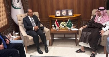 وزير خارجية مصر والسعودية يؤكدان رفضهما للعدوان الإسرائيلى المتواصل على غزة