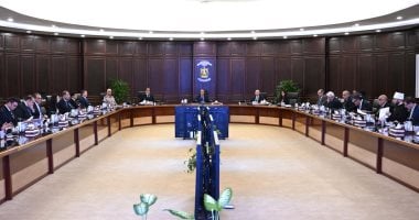 رئيس الوزراء: زيارة رئيس دولة الامارات لمصر تأتي في إطار تعزيز الروابط بين القيادتين الشقيقتين