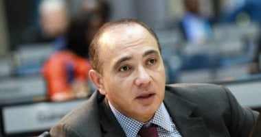 سفير مصر لدى كينيا: مشاركة أبناء الجالية فى انتخابات "الشيوخ" تعكس روح المسؤولية