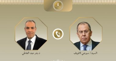 وزير الخارجية لنظيره الروسي: يجب الضغط على إسرائيل لقبول وقف إطلاق النار فى غزة