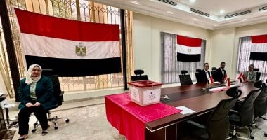 استمرار فتح لجان الاقتراع أبوابها للمصريين بالخارج فى 24 دولة بأفريقيا وأوروبا