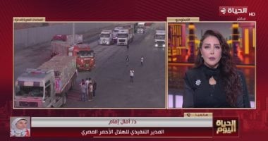 الهلال الأحمر: قوافل "زاد العزة" مستمرة من مصر إلى غزة منذ يوليو الماضى